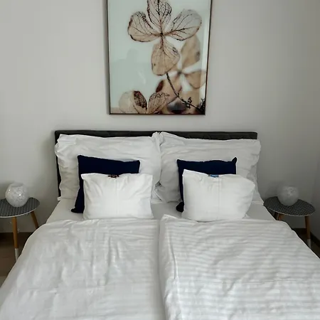 West Budapest-edge Of Downtown-free Parking Apartment *