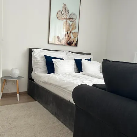 West Budapest-edge Of Downtown-free Parking Apartment Budapest