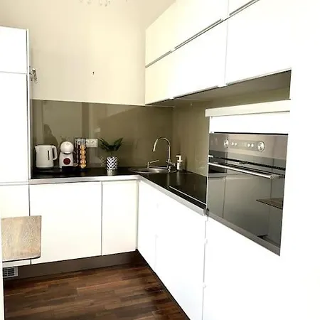 Luxury Flat In Downtown With Free Parking Apartment *