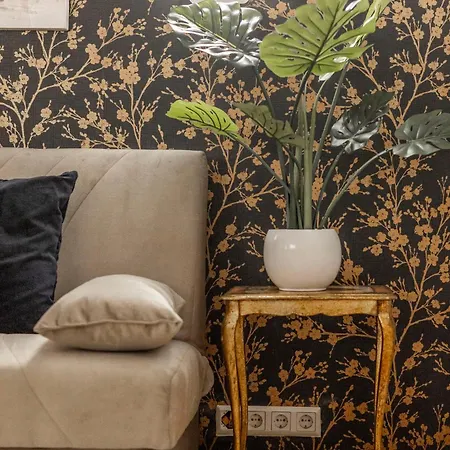 Classy Quentin Dream In The Heart Of Budapest
