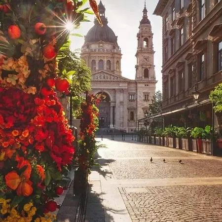 Downtown Elegance