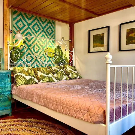 Cozy Art Flat Downtown Buda Apartment *