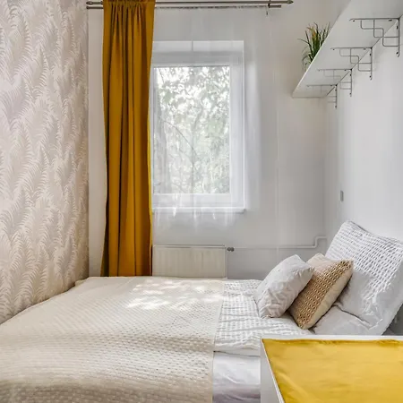 B2 Big King Apartman