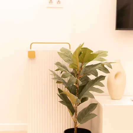 Superior N' Cozy Mozsar 6 In The Heart Of Appartement