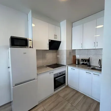 Modern With Garage