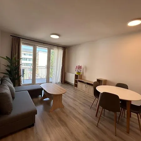 Modern With Garage Apartment