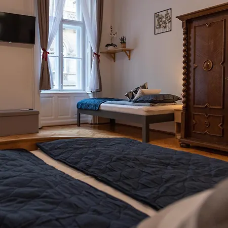 Viol Budapest