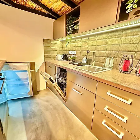 Romance Residency With Finn Sauna Apartment Budapest