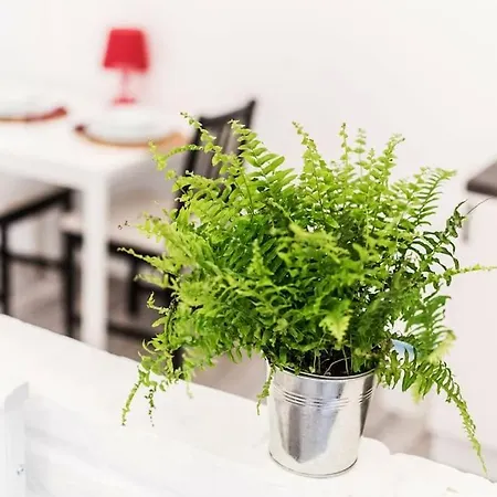Away From -city Center Apartment