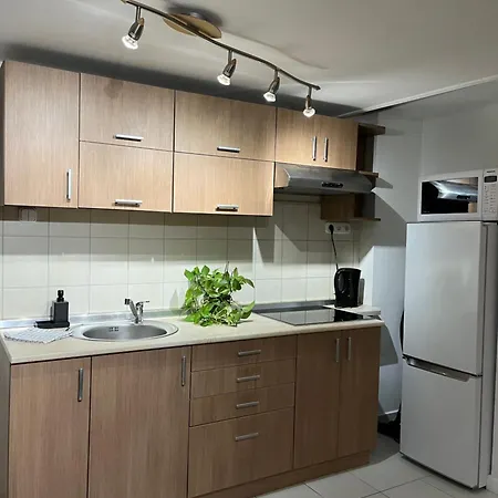 E 37 Downtown Whit Garage Opcional Budapest