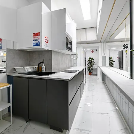 New Modern Homes Rakoczi 57 Apartment Budapest