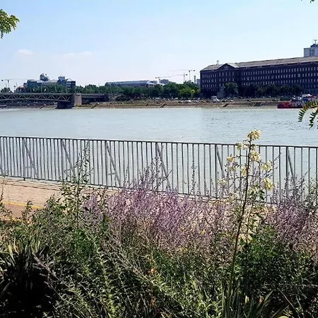 Danube Dream Apartment