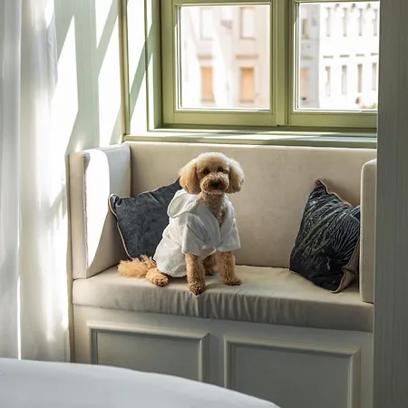 Kimpton Bem By Ihg Budapest
