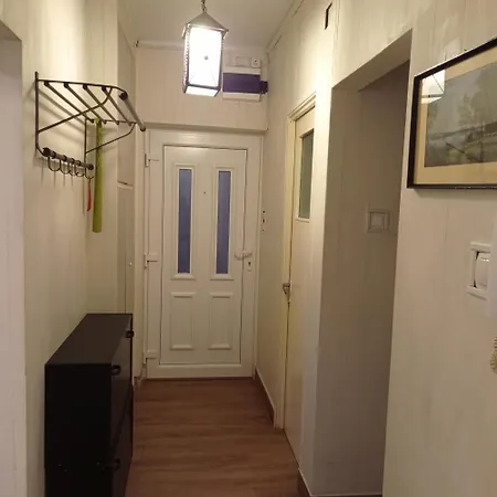 Zsuzsa Apartment