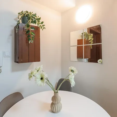 Apartment Turquoise
