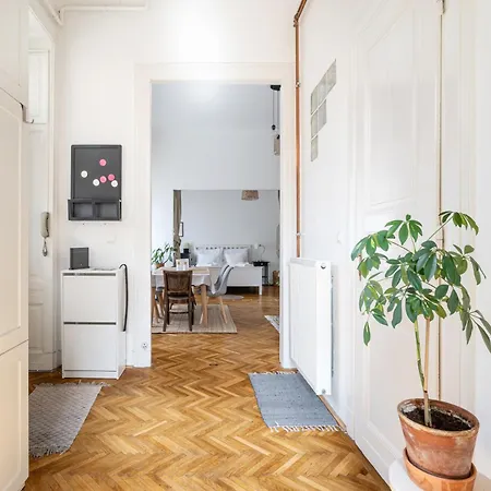 Cedar Budapest