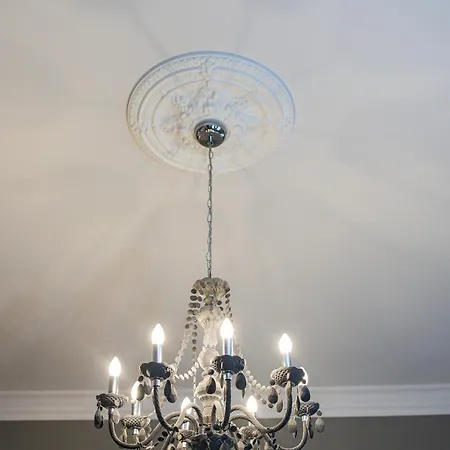 Apartment Spacious Victorian By Grand Boulevard