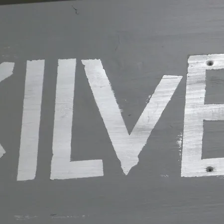 Silver55 *