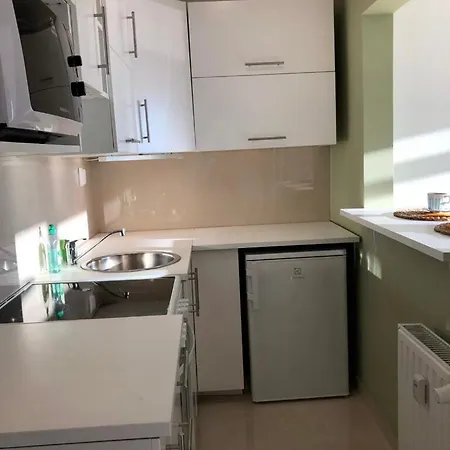 Panorama Apartment *