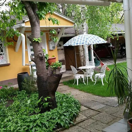 Patricia With Garden *