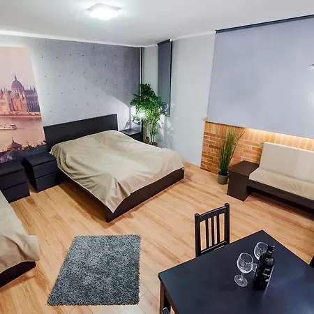 Apartman Free Parking, Ac, Wifi In The Center *