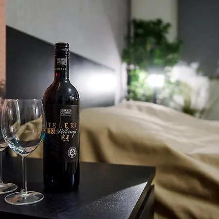 Free Parking, Ac, Wifi In The Center Apartman *