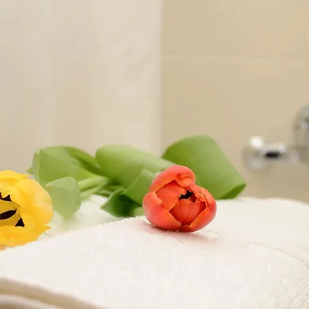 Apartamento Green Dream *