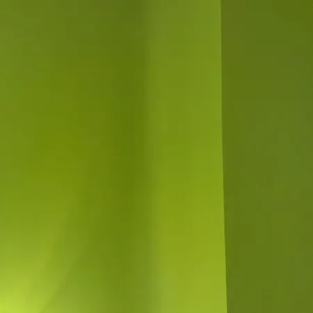 Apartment Budanest