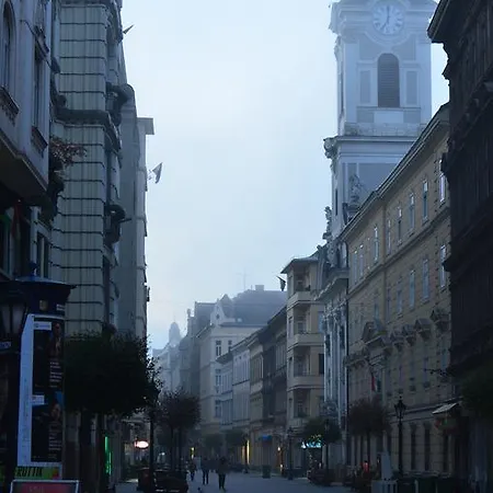 Vaci Street Downtown *