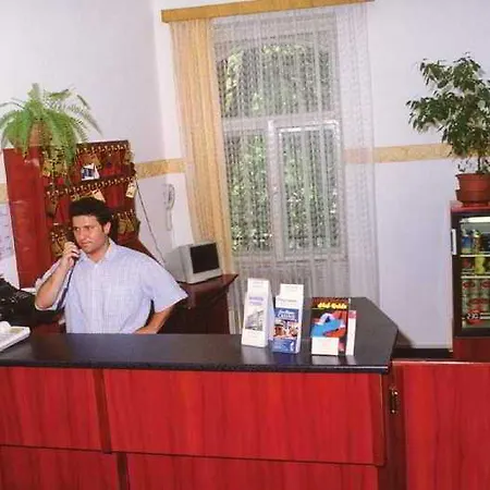 Dominik Panzio Будапешт