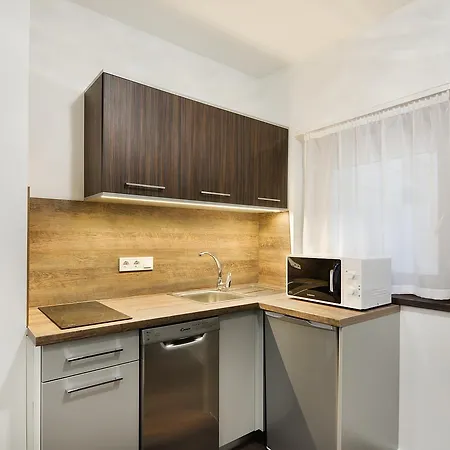 شقة فندقية Paulay Downtown 4*