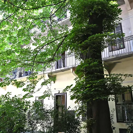 Amber Terrace Downtown 3*