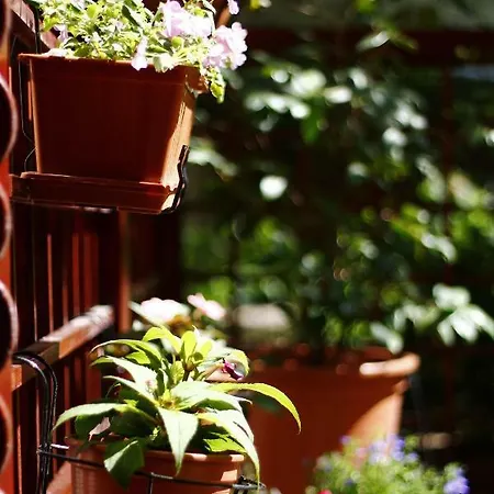 Downtown Garden Isle In Urban Style-free Parking *