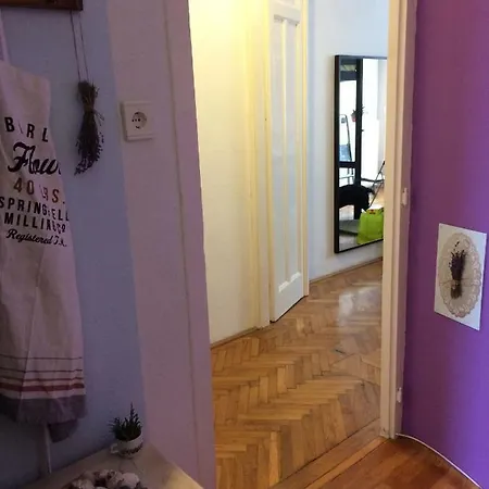 Rakoczi Central Appartamento *