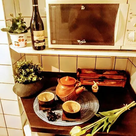 Apartmán Turul *