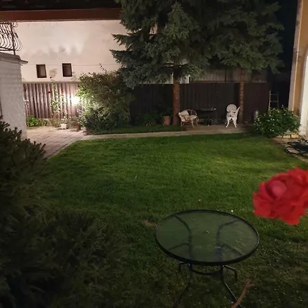 Viki * Budapest
