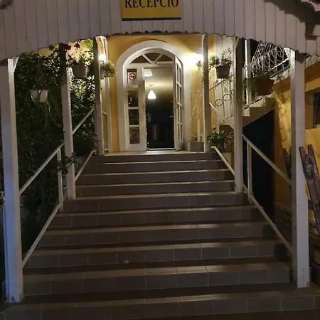 Viki Panzió *