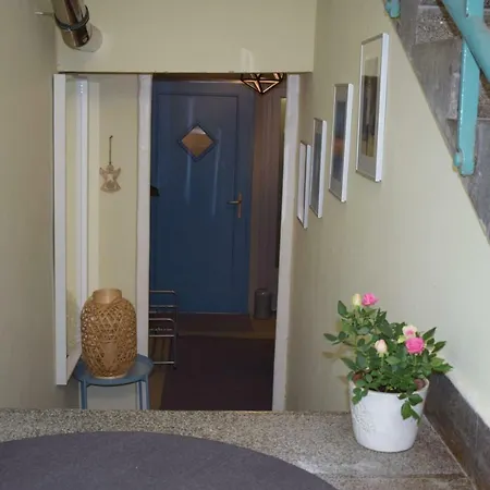 Gellert Hill Apartment