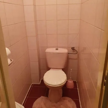 Viki Panzió