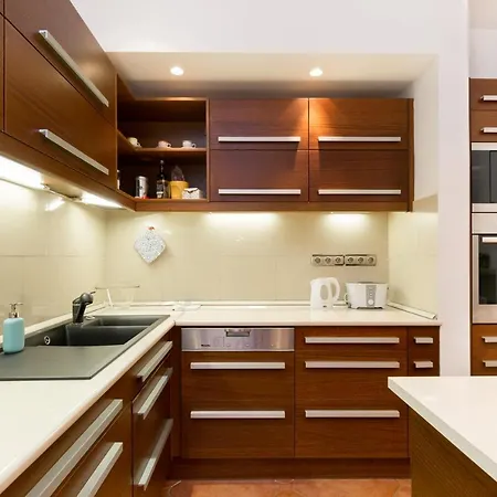 Luxury Apartment