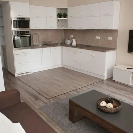 Downtown Regiposta 15 Apartment