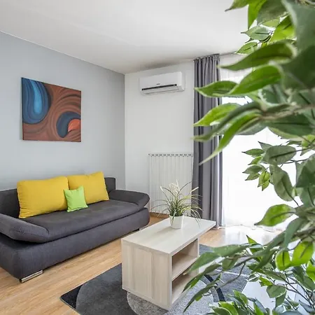Maple Tree Budget Daire