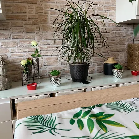 Apartman Simon