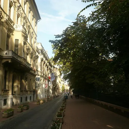 Museum View *