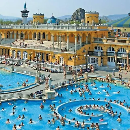 Elegance At The Opera * Budapest
