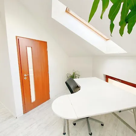 Loft With Rooftop And Free Parking In Garage Apartment *
