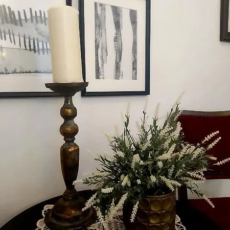 Apartment Your Gorgeous And Spacious Dream Free Parking *