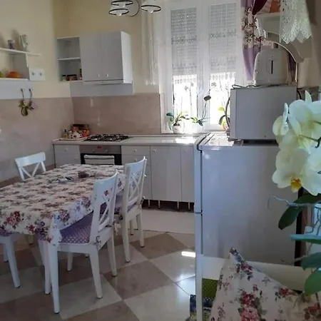 Apartment Aranyoshaz-vendeghaz *