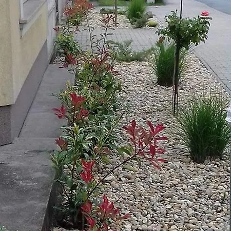 Aranyoshaz-vendeghaz Budapest