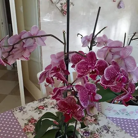 Apartment Aranyoshaz-vendeghaz Budapest